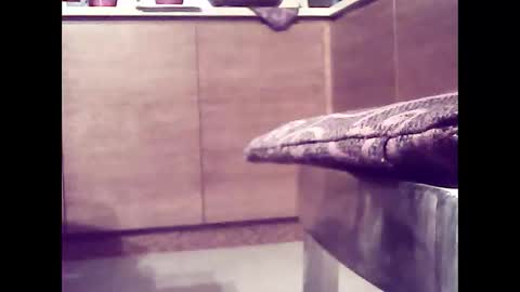 xsoul72 online show from 02/26/25, 04:56