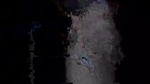 Vera online show from 01/14/26, 11:53