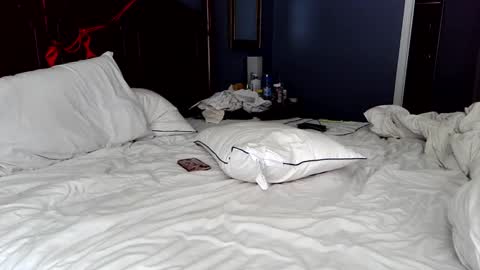 Snapshot of xxverabbyxx chatting on 05/01/26, 01:59 Vera online show from 05/01/26, 01:59
