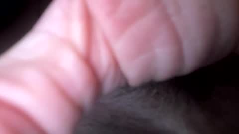 Snapshot of xxx5679333567 chatting on 02/06/26, 12:04 xxx5679333567 online show from 02/06/26, 12:04