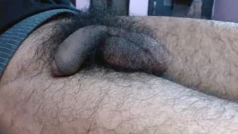 Prince online show from 01/10/26, 09:05