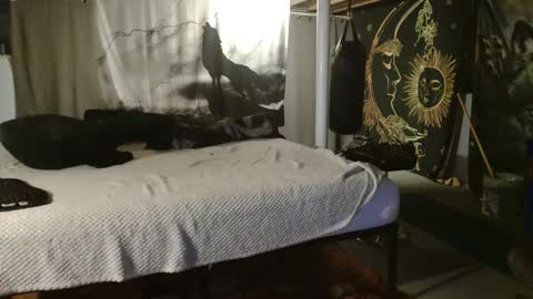 xxxjrstrokesxxx online show from 09/20/25, 06:20