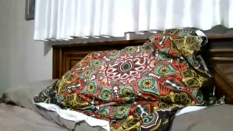 xxxloverloganxxx online show from 02/05/26, 12:32