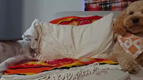 Snapshot of xxxtonymxxx chatting on 01/28/25, 02:43 TonyDoesMiami online show from 01/28/25, 02:43