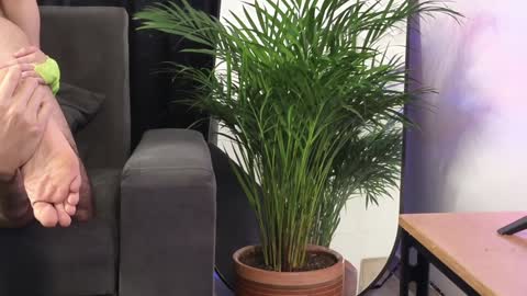 July and Fer online show from 02/04/25, 08:49