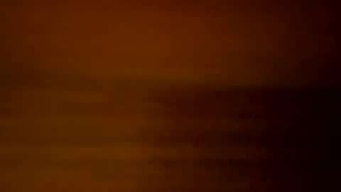 yacht3oy online show from 12/03/24, 09:00