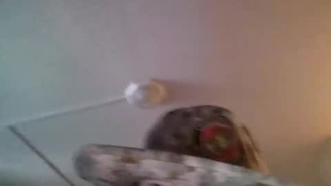 yahushuaha online show from 09/09/25, 07:13