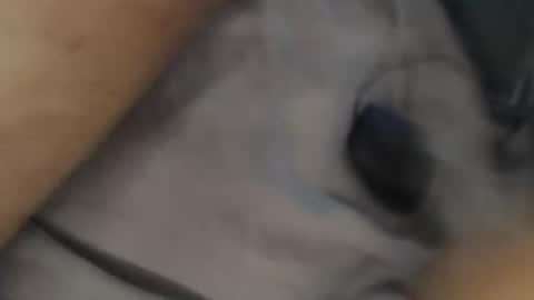 yallayalla1806 online show from 11/18/25, 02:17