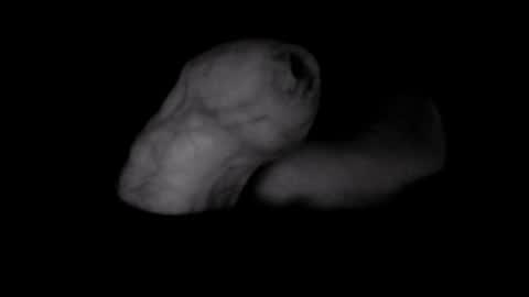 yeasayer online show from 10/08/25, 01:25