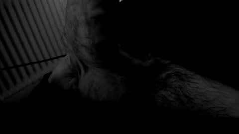 yeasayer online show from 11/02/25, 09:28