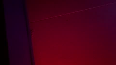 Ella Ts online show from 12/01/25, 10:42