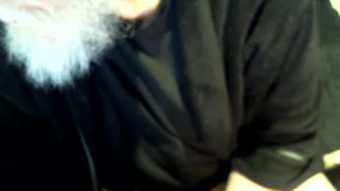 .     y e l l o w s n a k e s       . online show from 02/02/25, 08:02