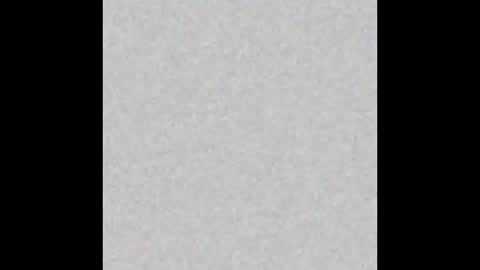 .     y e l l o w s n a k e s       . online show from 11/16/25, 06:41