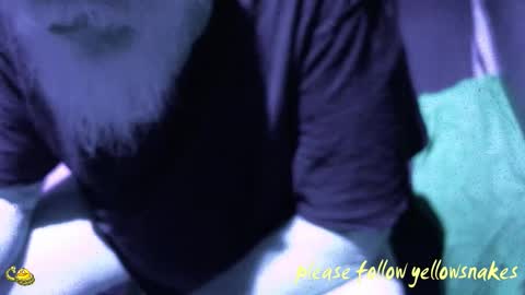 .     y e l l o w s n a k e s       . online show from 12/18/25, 01:28