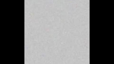 .     y e l l o w s n a k e s       . online show from 02/05/26, 04:22