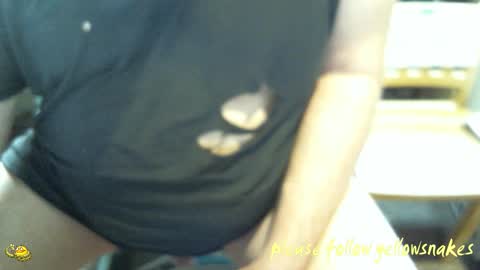 .     y e l l o w s n a k e s       . online show from 02/08/26, 09:40