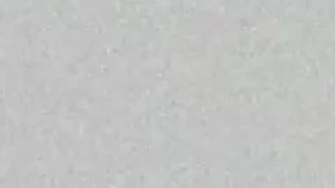 .     y e l l o w s n a k e s       . online show from 04/16/26, 01:56