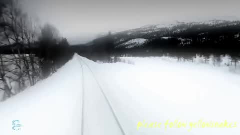 .     y e l l o w s n a k e s       . online show from 05/15/26, 06:48