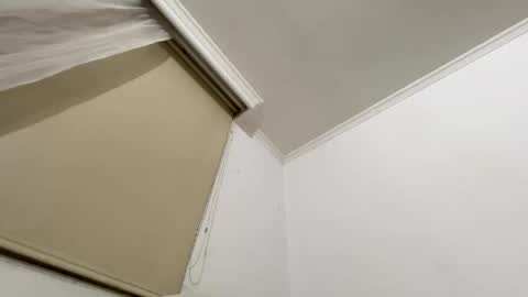 Zorro online show from 04/20/26, 04:37