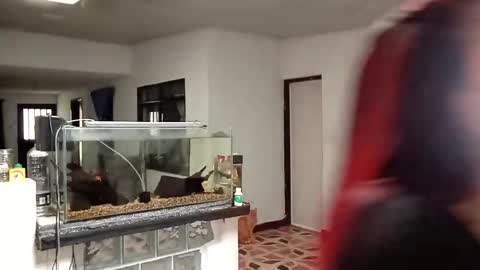 yesika_t online show from 01/09/26, 05:48