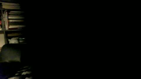 yessex247 online show from 04/17/26, 01:52