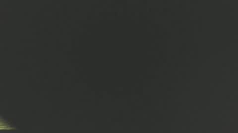 Snapshot of yessirprincesspet chatting on 07/05/26, 04:19 yessirprincesspet online show from 07/05/26, 04:19