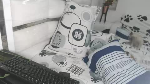 YINAROSS online show from 03/10/26, 09:09