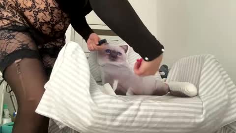 private on 18 per minute start private 500 tokensOnlyfans  online show from 02/01/25, 09:32