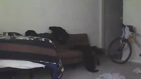 kindahorny online show from 02/15/25, 09:37