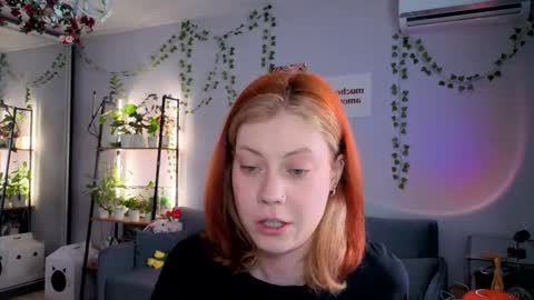 your_corvus online show from 04/04/26, 08:01