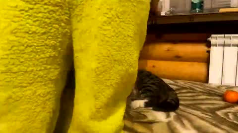 Fansly  online show from 12/31/24, 09:50