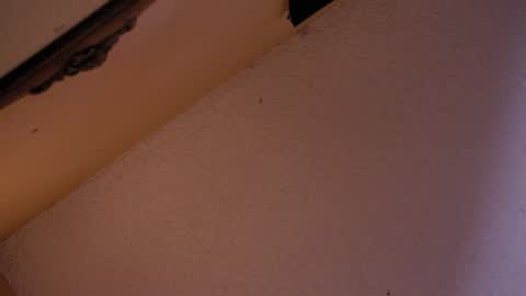 Sophiestar online show from 10/18/25, 02:58