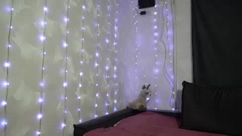 Meri  online show from 02/20/26, 09:15