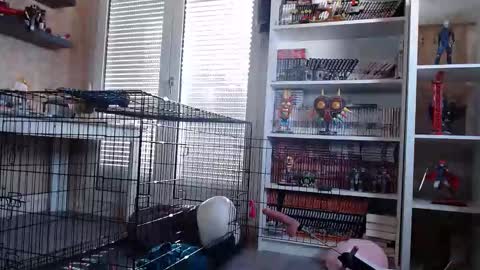 Owned by Hell On Heels online show from 03/07/26, 09:06