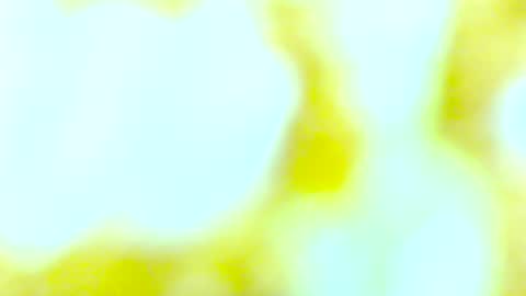 Edging4U online show from 10/13/25, 09:48