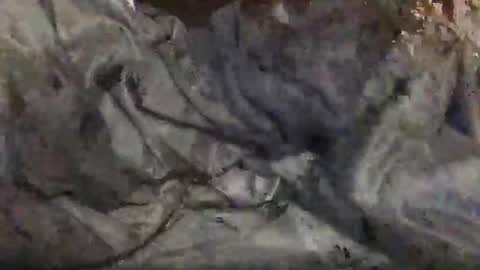 yungin470 online show from 02/25/26, 08:46