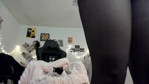 paola online show from 01/18/25, 09:45