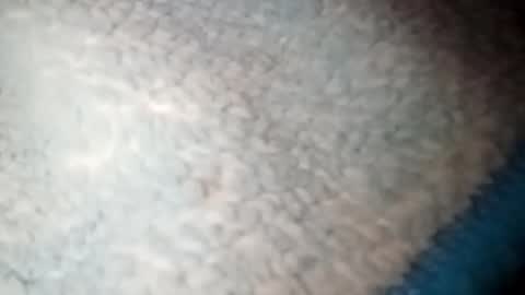 Snapshot of yuyu33333284475 chatting on 01/22/25, 03:52 yuyu33333284475 online show from 01/22/25, 03:52