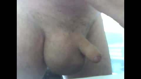 yyyyy_2023 online show from 03/08/25, 11:27