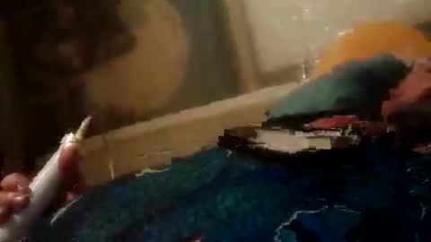 Z0RL0C online show from 06/02/26, 06:37