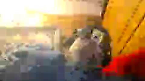 Z0RL0C online show from 08/01/26, 06:18