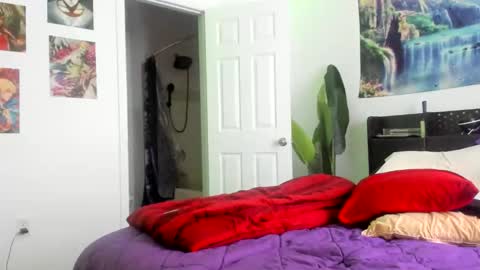 Zack Pipher online show from 04/26/26, 12:58