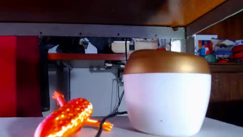 zafiro_subversiva online show from 03/16/26, 09:30