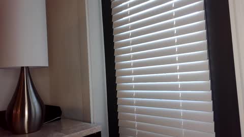 Edii online show from 01/02/25, 04:46