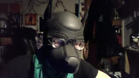Snapshot of zanepup89 chatting on 06/29/26, 07:47 ZanePup online show from 06/29/26, 07:47