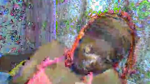 zarinamarlin online show from 04/03/26, 06:00