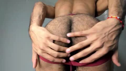 zayn 3 online show from 01/12/26, 08:47