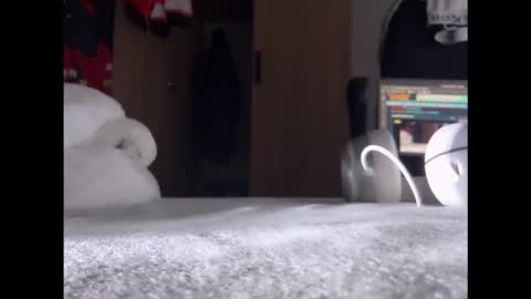 zbokk319121659104 online show from 11/24/25, 08:08