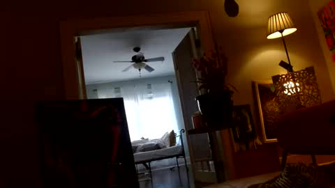 Snapshot of zedlav4 chatting on 11/28/25, 09:50 zedlav4 online show from 11/28/25, 09:50