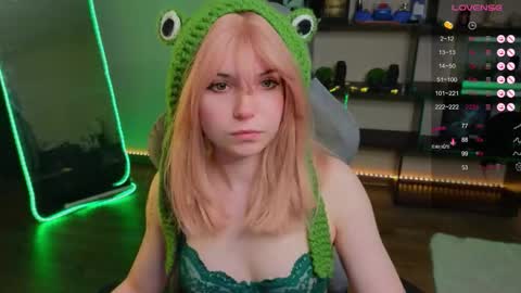 Zelda online show from 03/13/26, 06:36